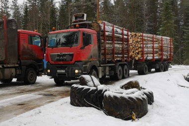 Вывозка древесины